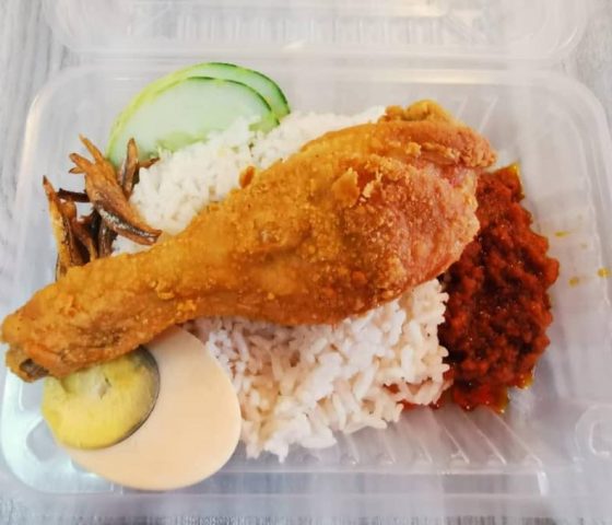 鸡腿 Drumstick-摇摇冰 YOYO Ping